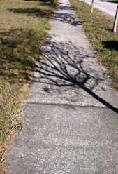 what wants to be known - will be shown to you on the path you're already on