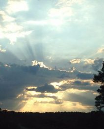 hold the door - copyright Kathleen McGloin